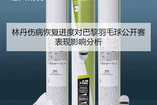 林丹伤病恢复进度对巴黎羽毛球公开赛表现影响分析